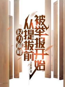 权力巅峰下一步是什么名字啊